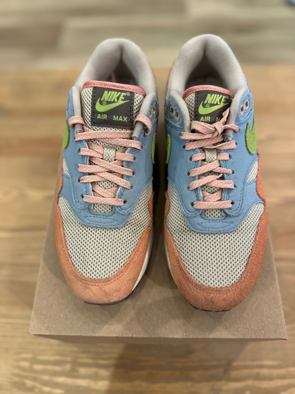 Nike air Max 1 madder root ( taille 37,5 )