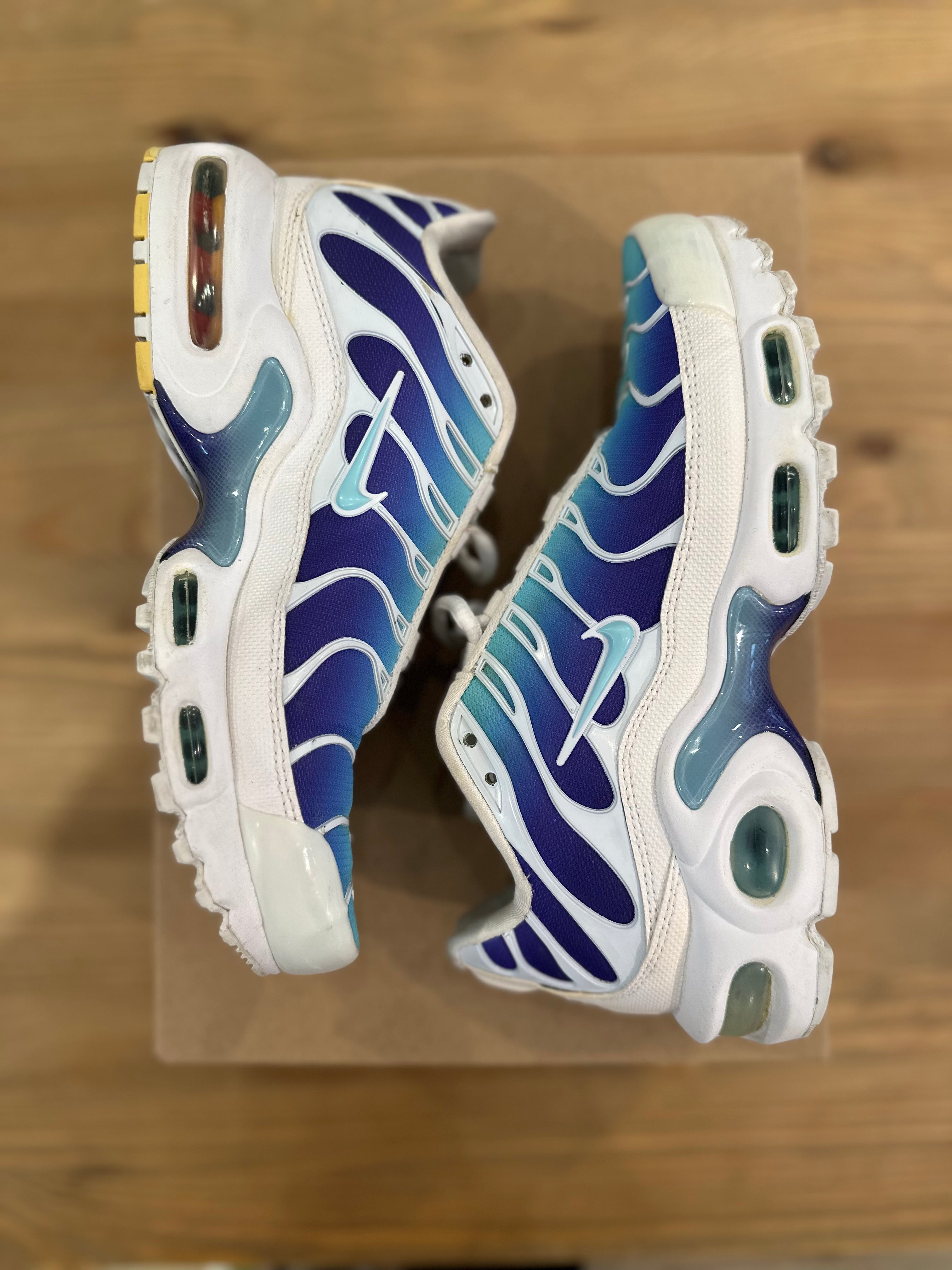 Nike air Max plus bleached Aqua