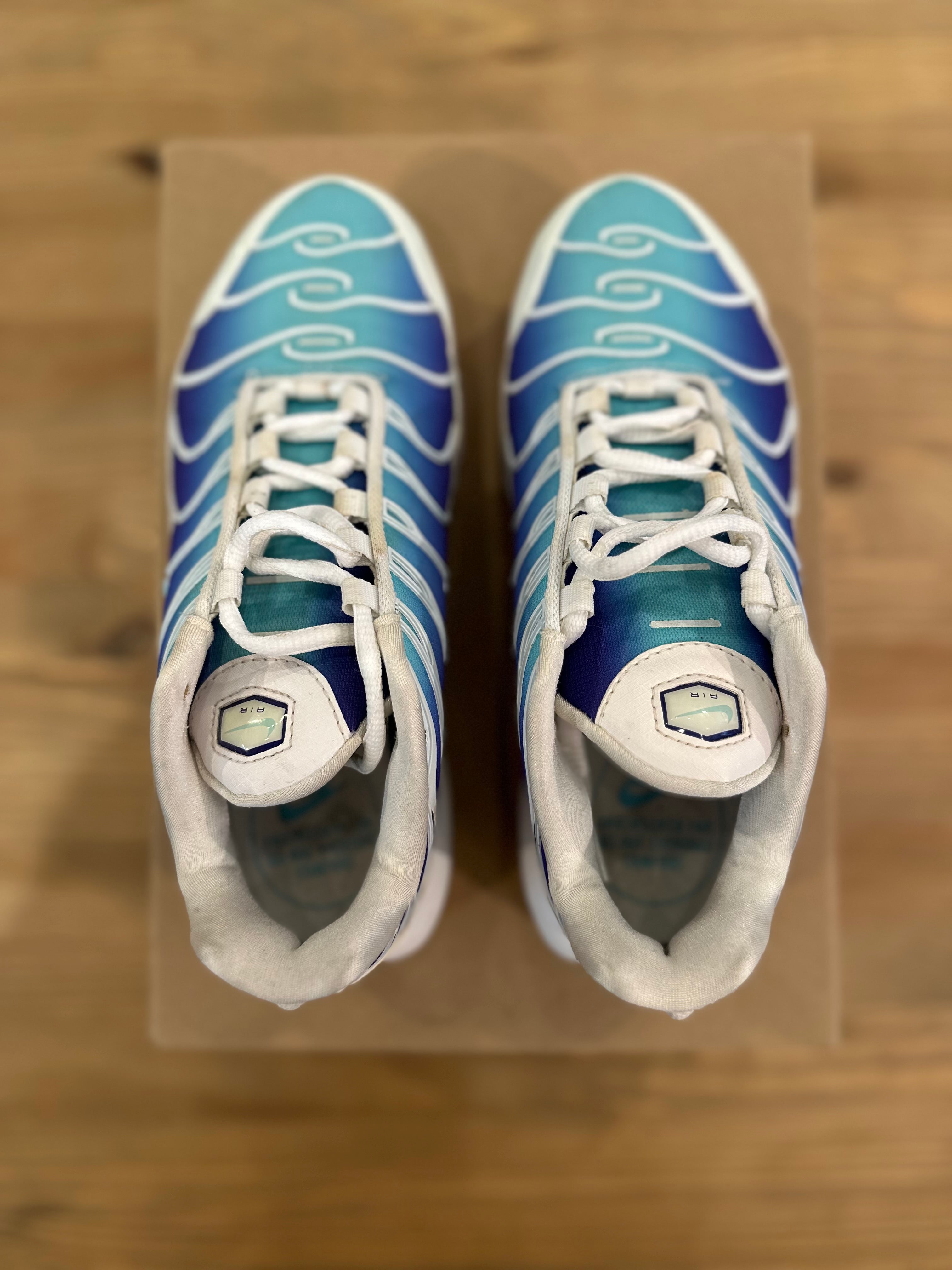 Nike air Max plus bleached Aqua
