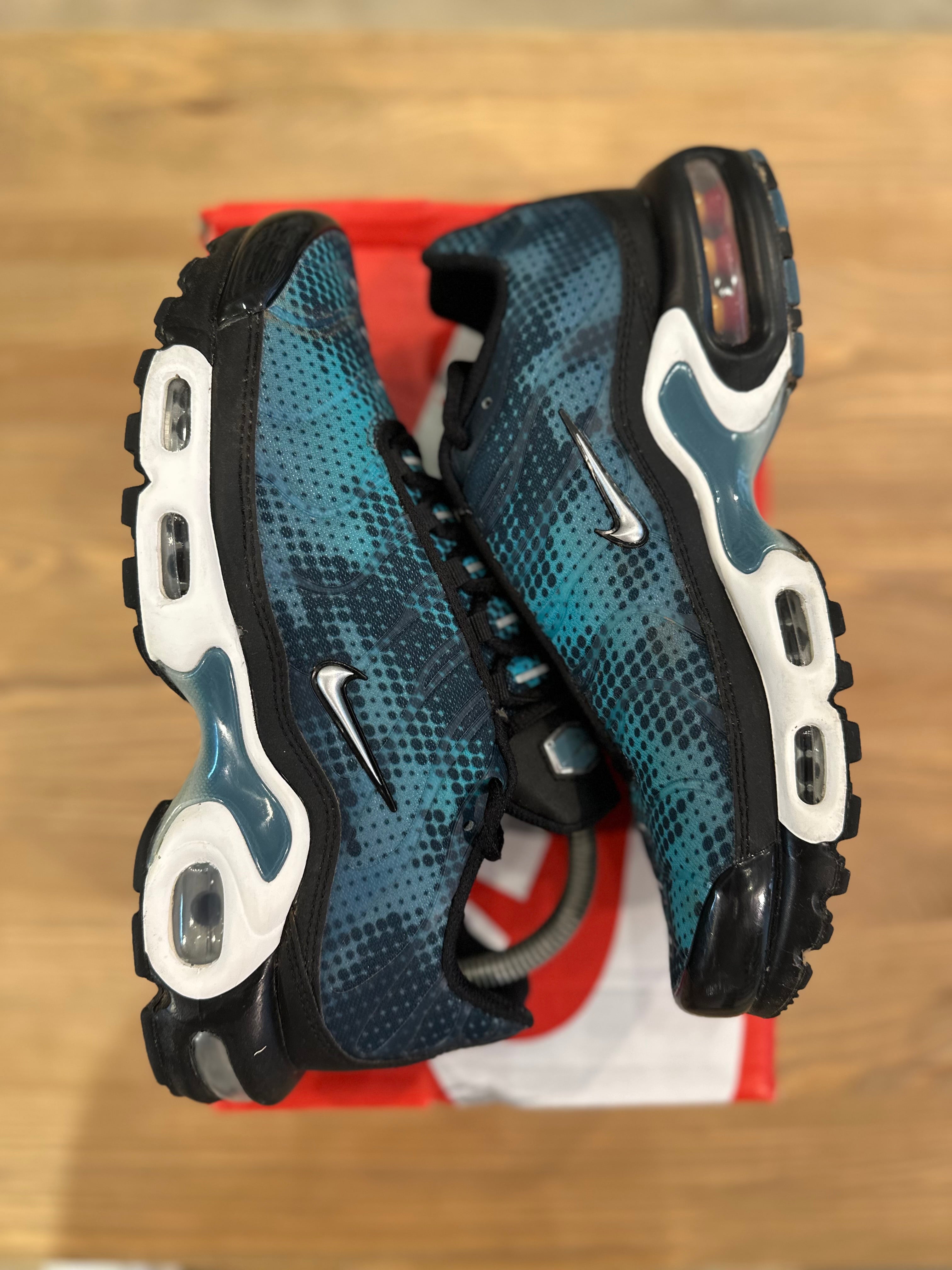 Nike air Max plus dot patern ( taille 39 )