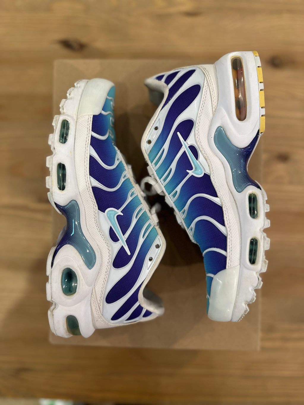 Nike air Max plus bleached Aqua