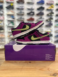 Nike sb dunk low acg terra prune