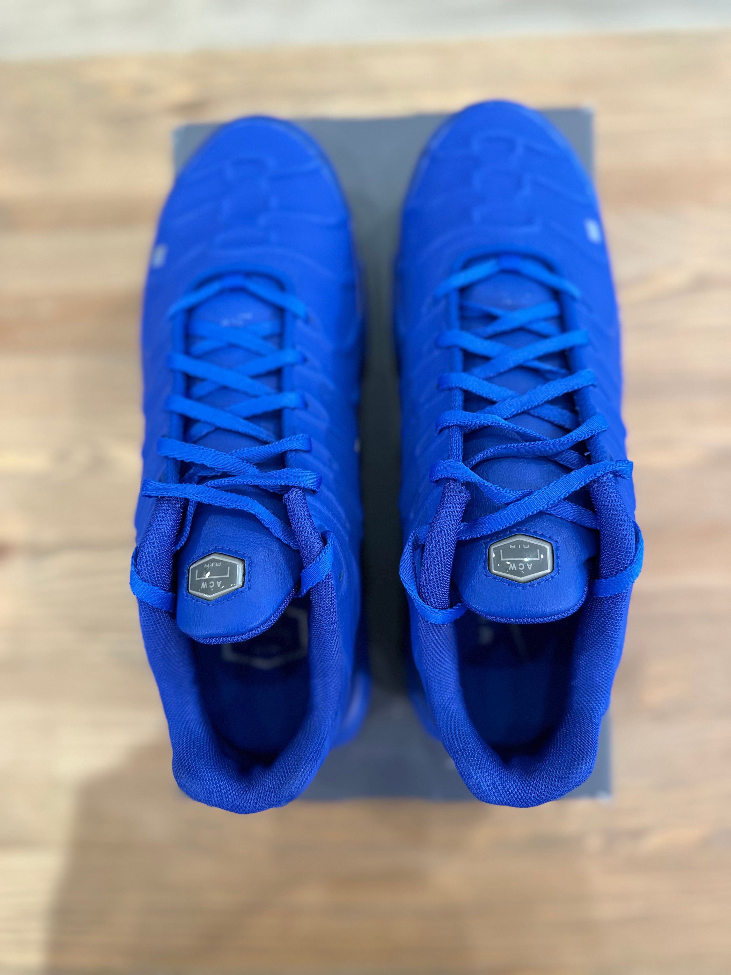 Nike air Max plus a cold wall house blue ( taille 41 )
