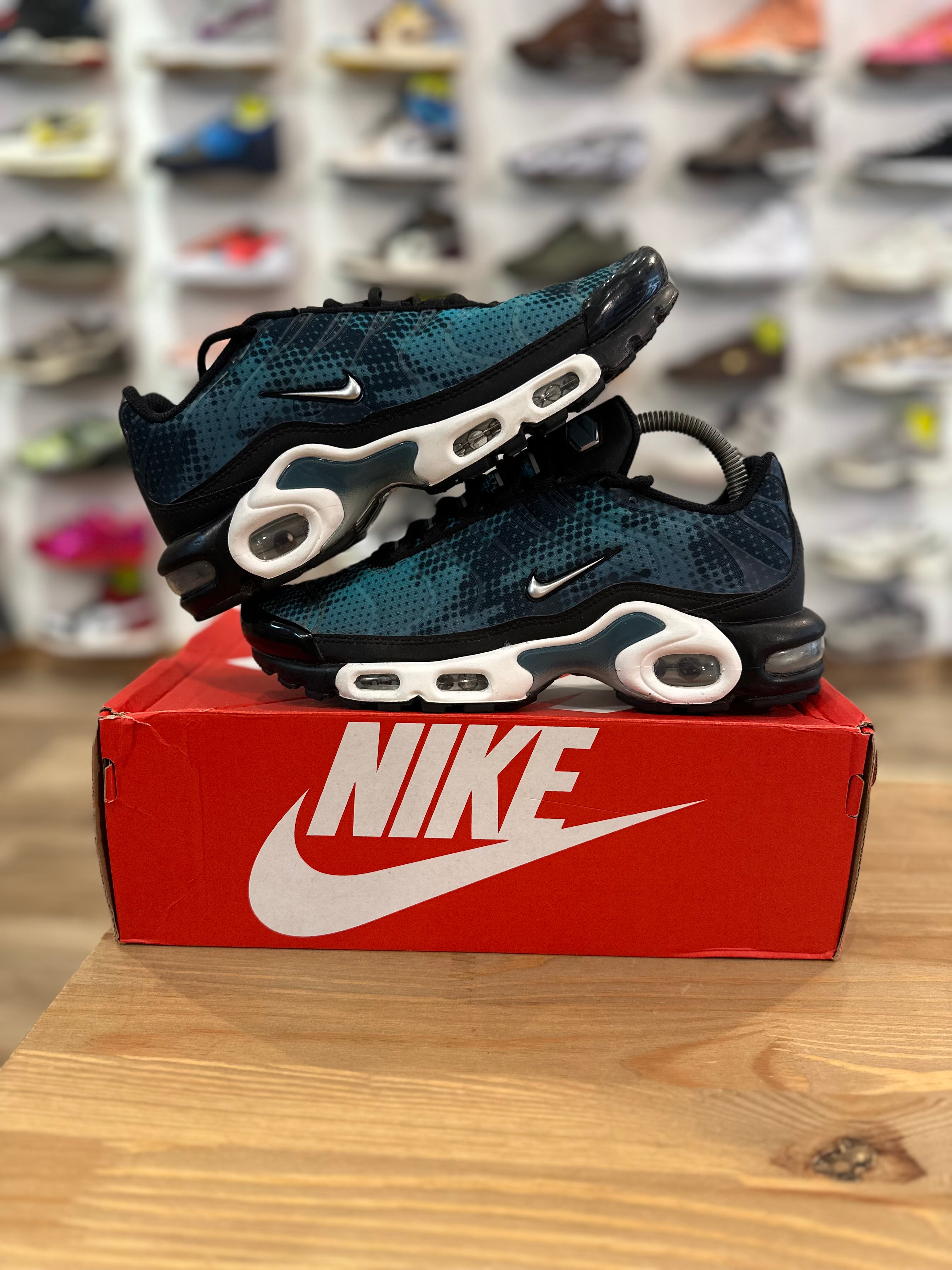 Nike air Max plus dot patern ( taille 39 )